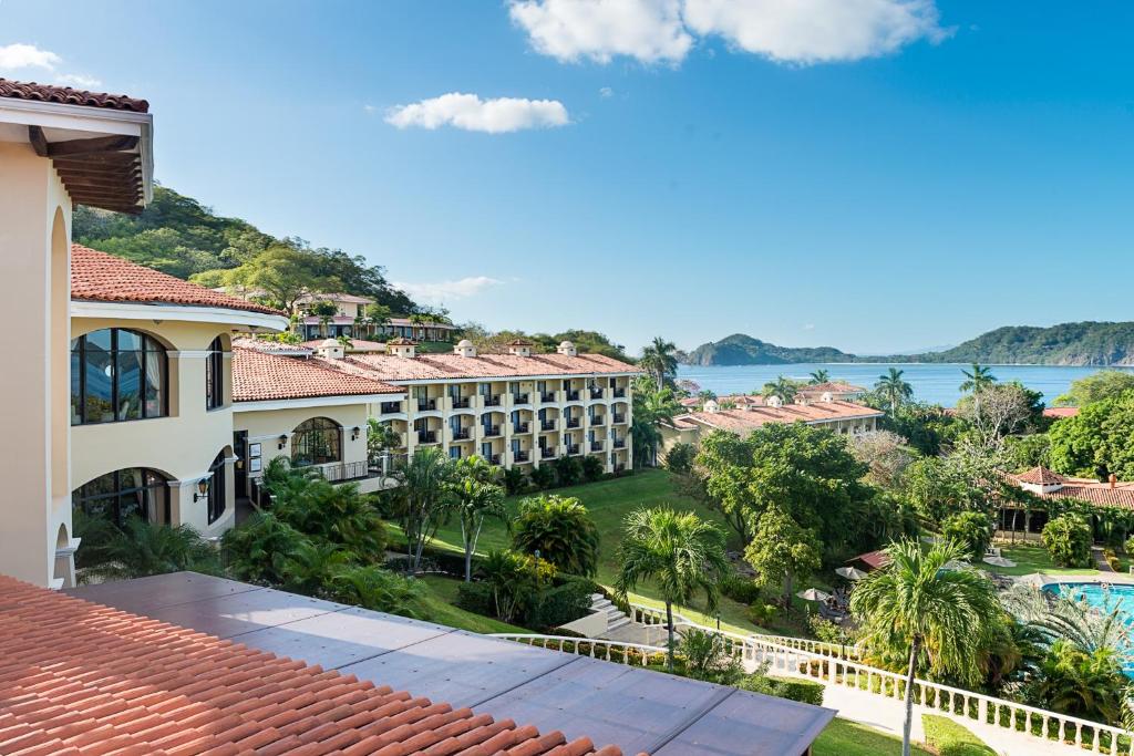 Occidental Papagayo (só adultos)