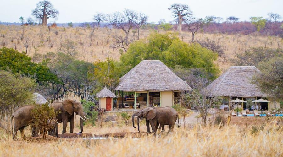 Osupuko Tarangire Lodge