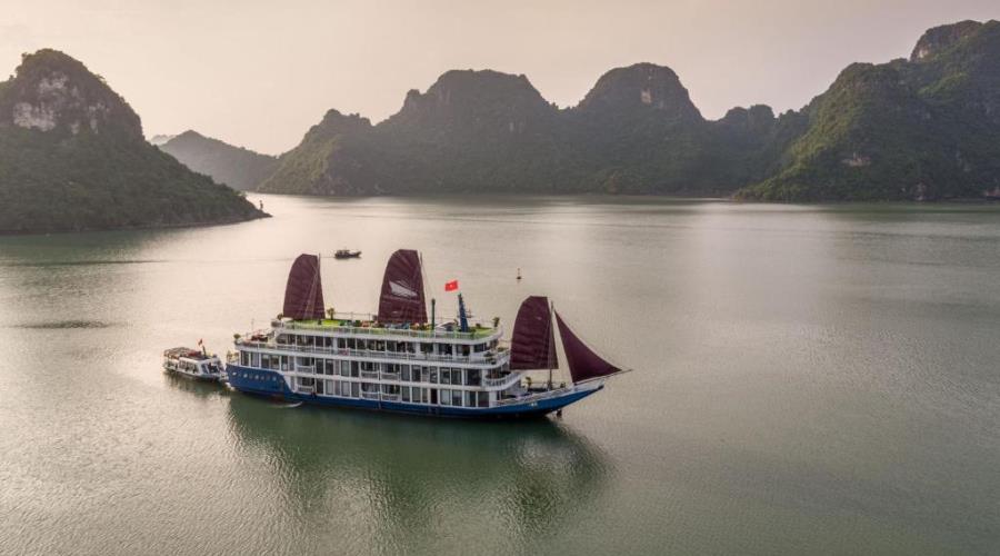 Verdure Lotus Cruises 2