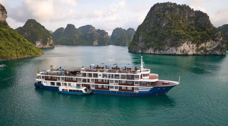 Erina Cruise