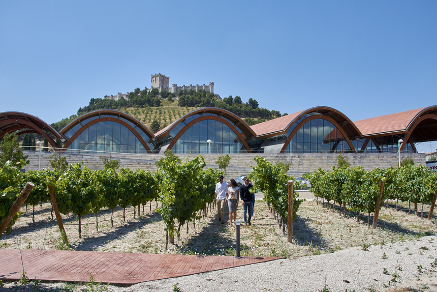 Escapada Enológica Ribera del Duero