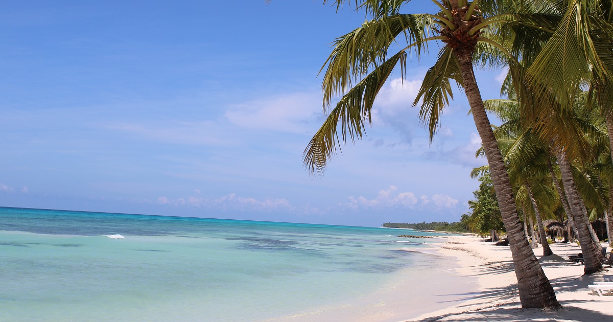 NUEVA YORK - PUNTA CANA