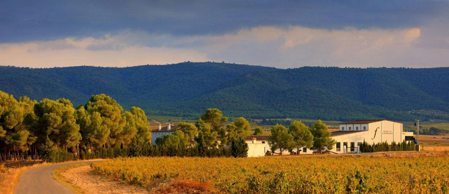 Escapada Enológica Toscana Valenciana