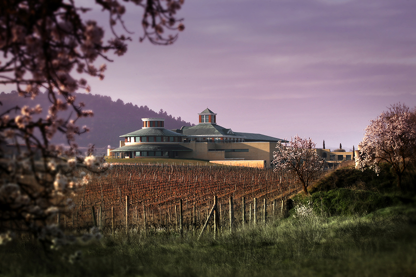 Escapada Enológica Briones - La Rioja