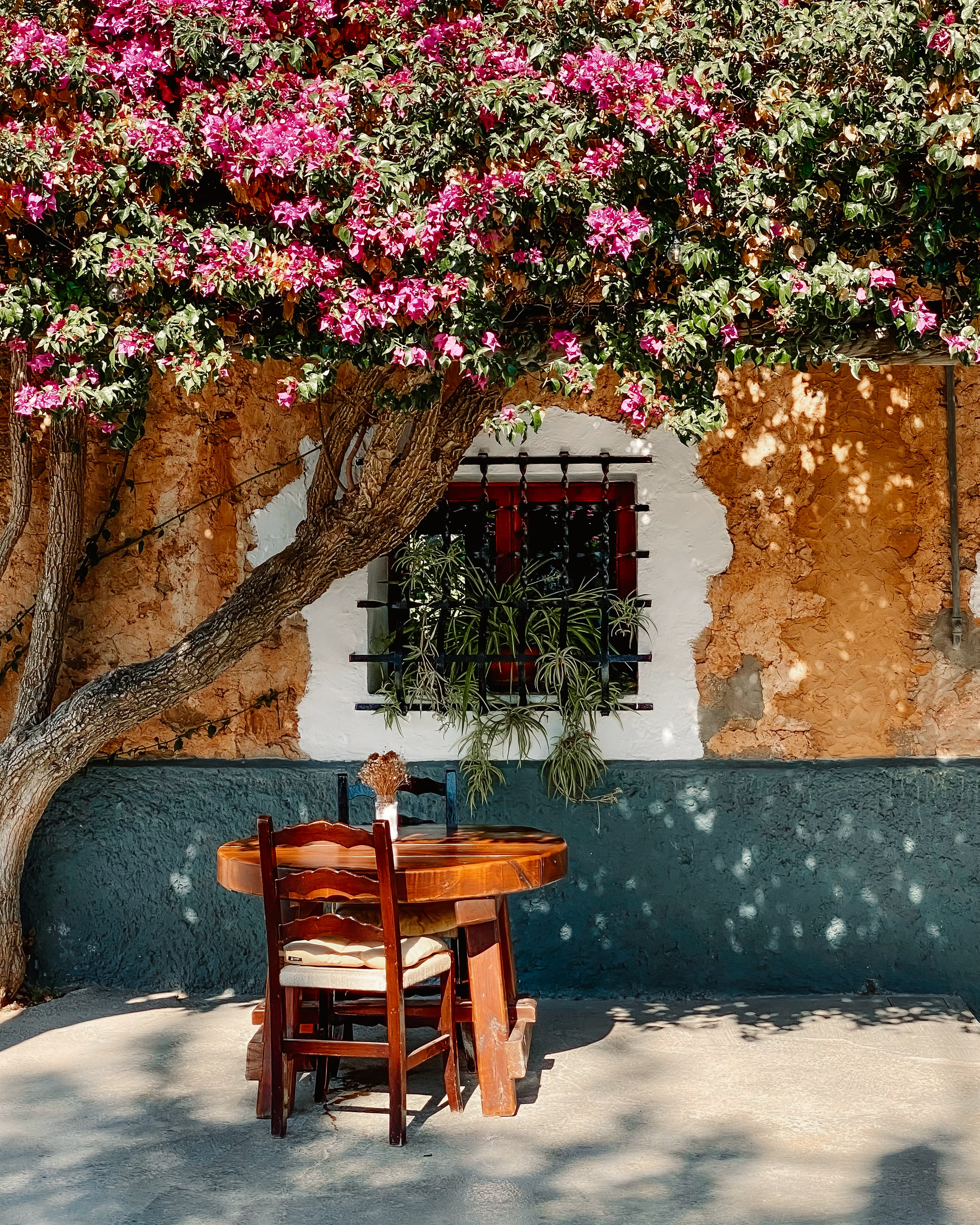 IBIZA