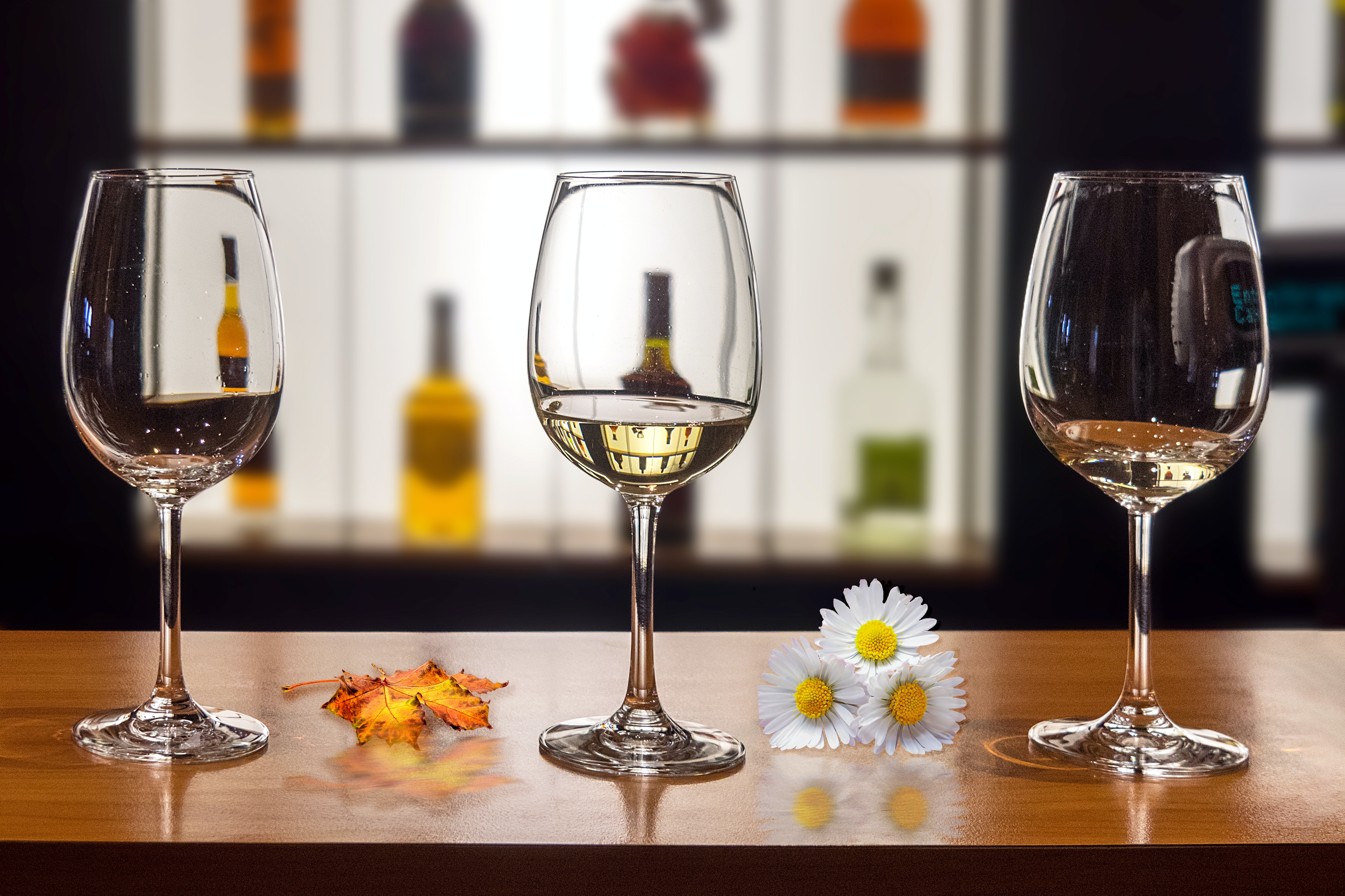 Escapada Enológica Cava Freixenet