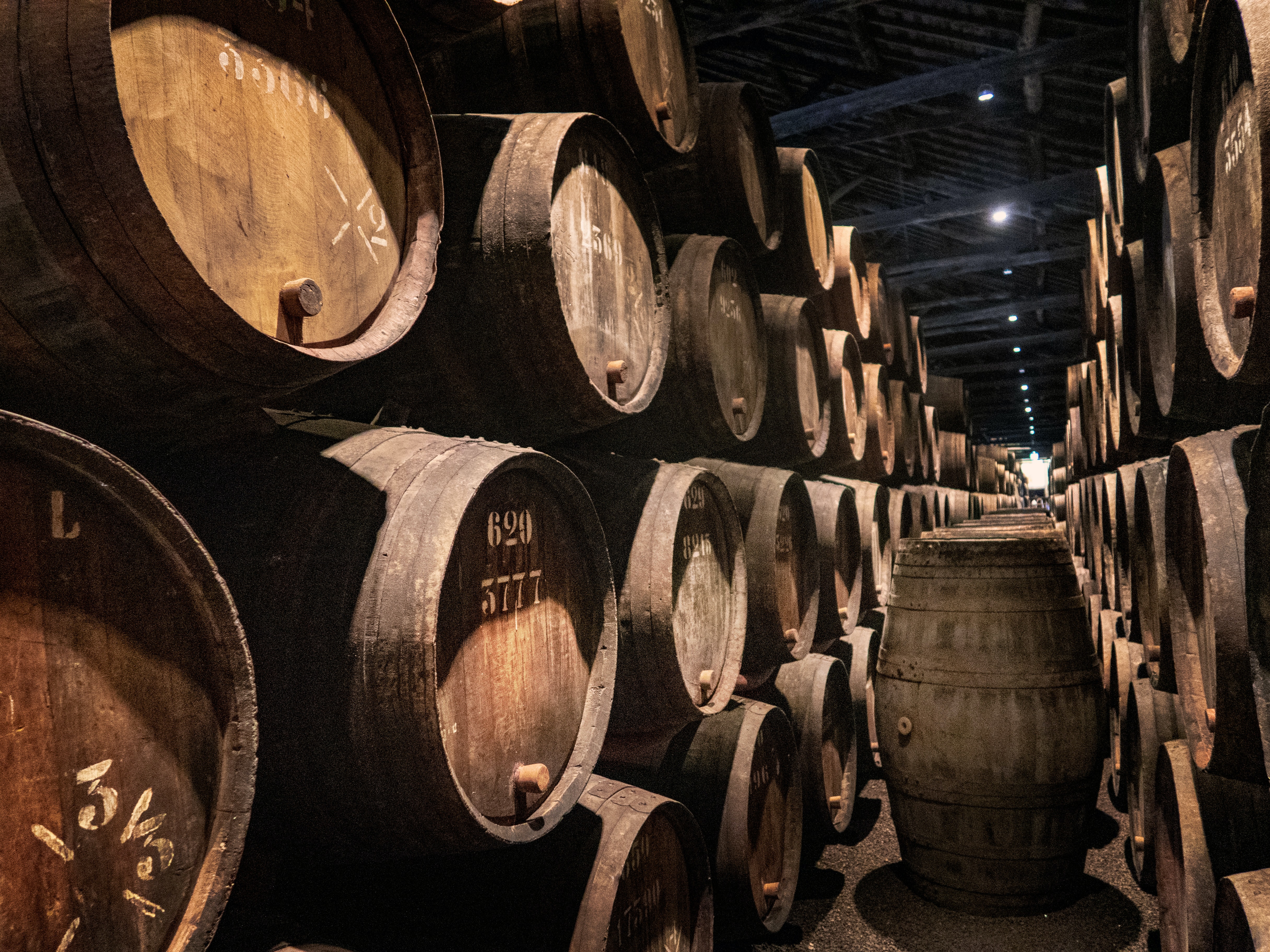 Escapada Bodega + Hotel Valbuena de Duero