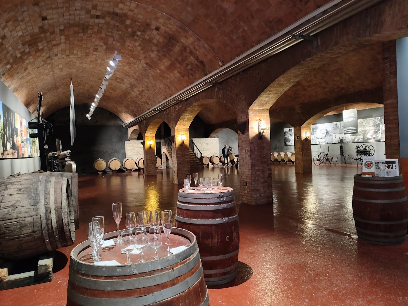 COSTERS DEL SEGRE | CATA Y VISITA DE BODEGAS