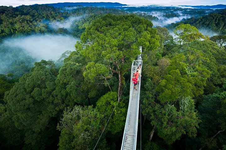 Monteverde