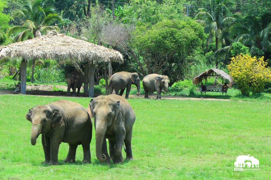 CHIANG MAI