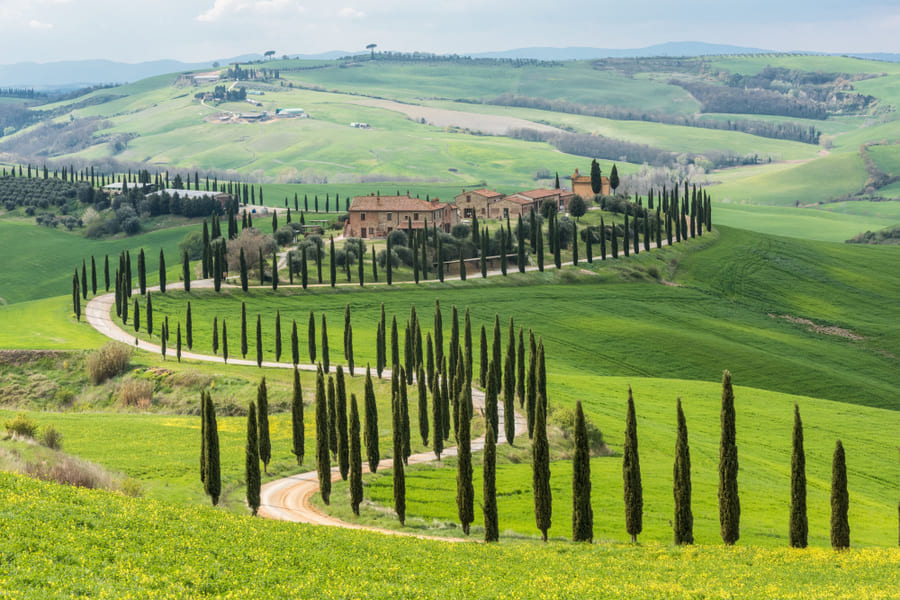FLORENCIA- MONTEPULCIANO - PIENZA - MONTALCINO
