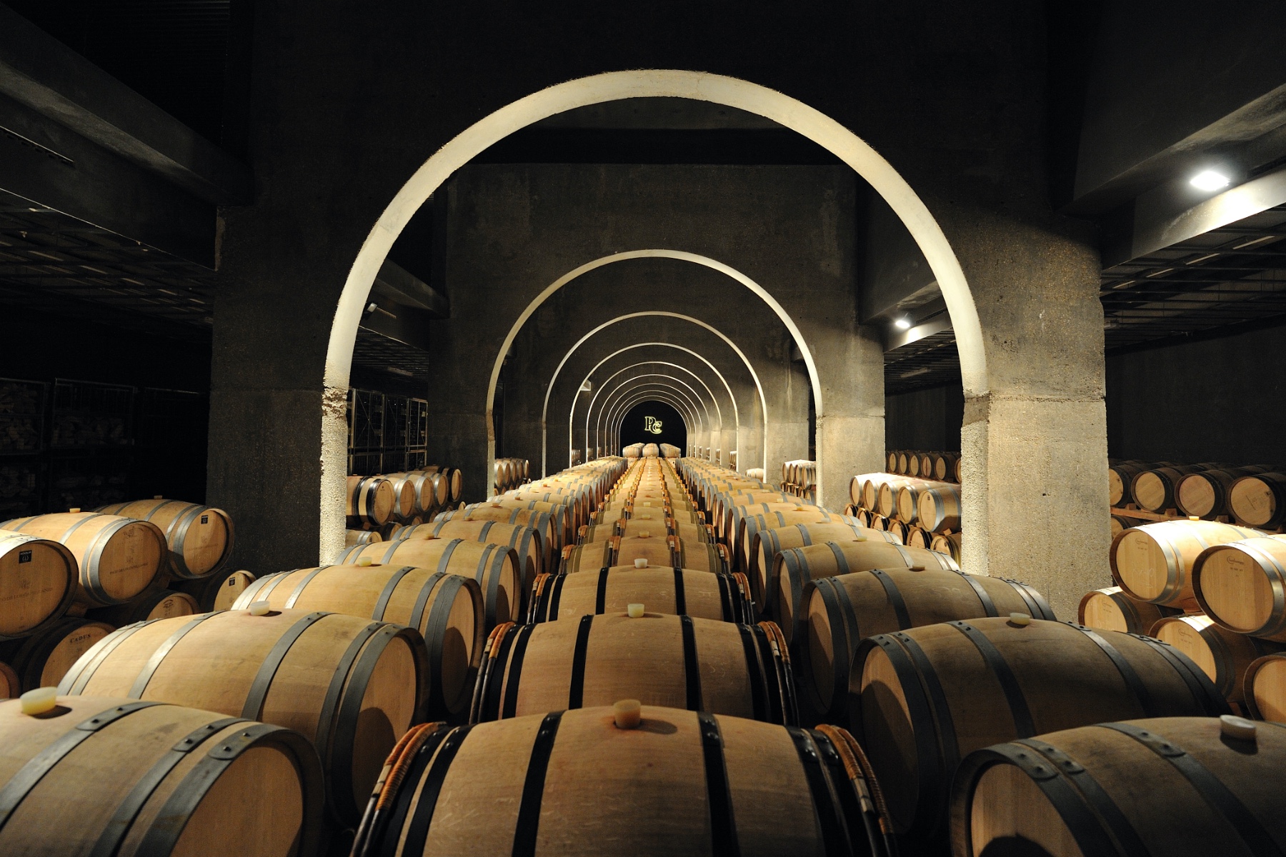 Pack Visita Bodega Pago Capellanes + Hotel