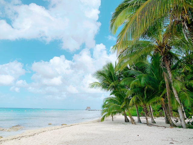 Viaje Costa Oeste EEUU y Riviera Maya 15 días