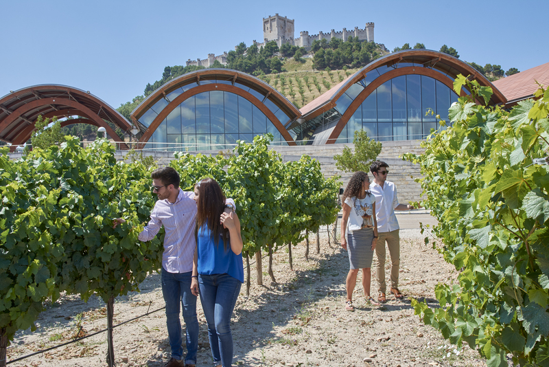Circuito EnoGastronómico de España - Ribera del Duero y Rioja