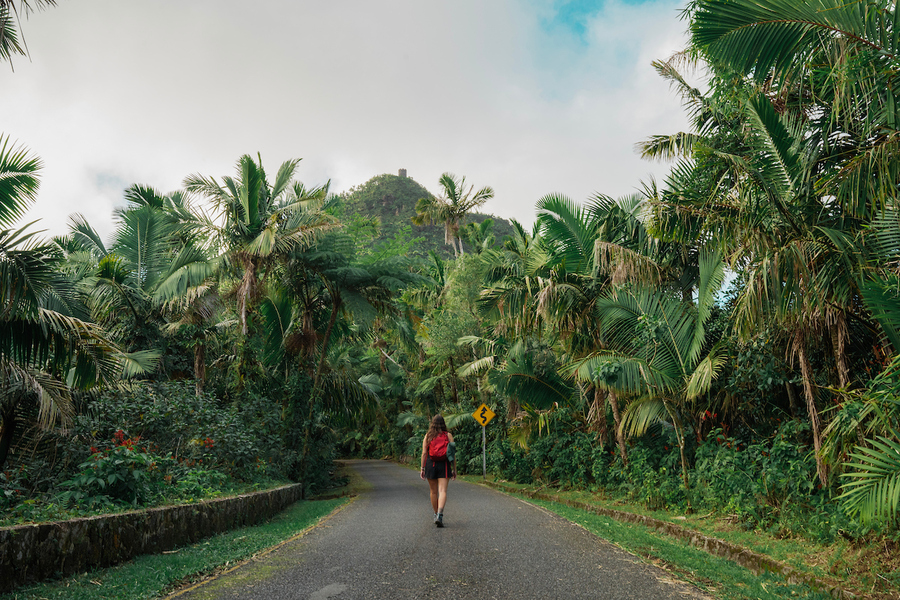 RIO GRANDE | EL YUNQUE