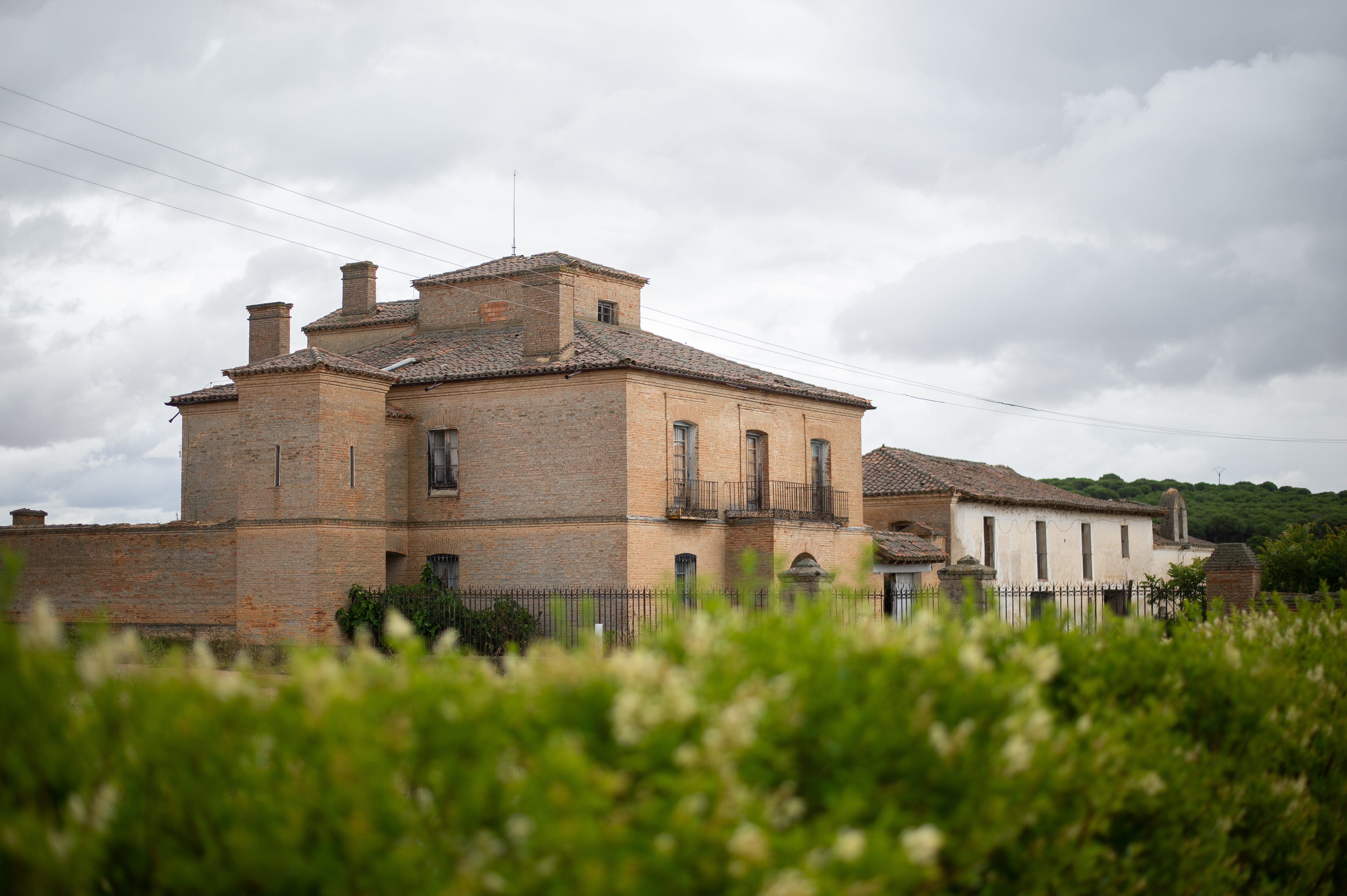 Escapada Bodega Palacio de Villachica