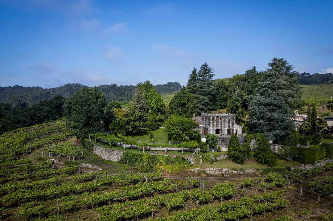 Escapada Enológica Rias Baixas - Bodegas Fillaboa