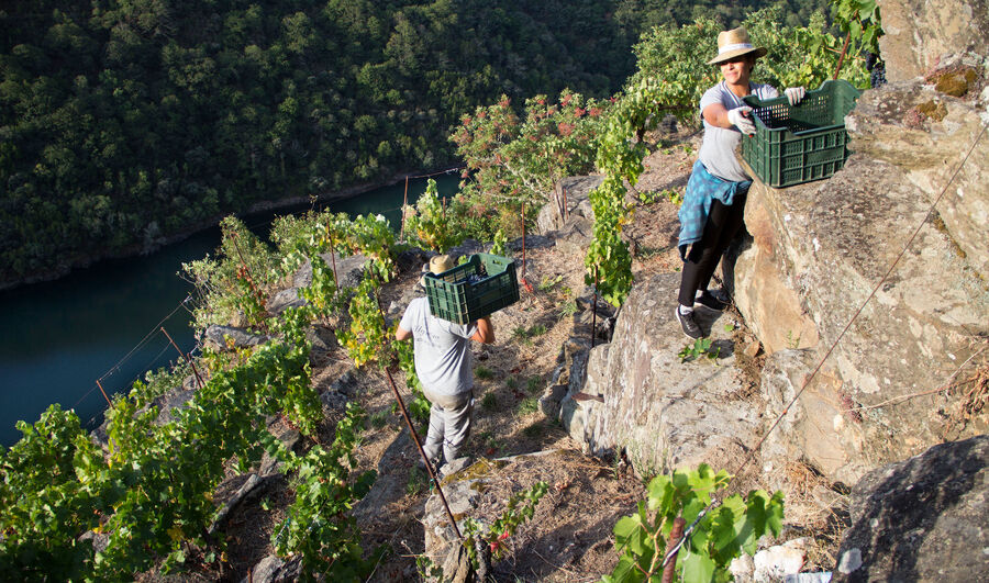 Escapada Ribeira Sacra - Monforte de Lemos