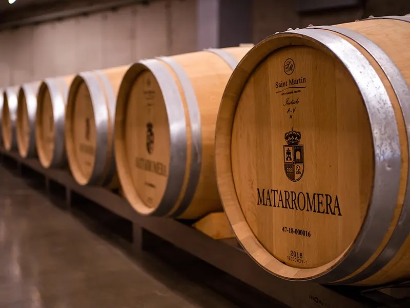 BODEGAS MATARROMERA | CATA Y VISITA DE BODEGAS