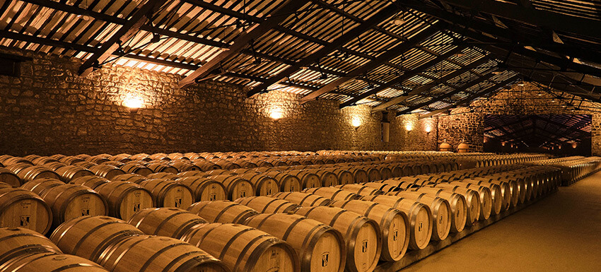 Escapada Enológica Bodega CVNE