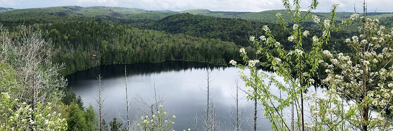 OTTAWA - P.N. LA MAURICIE