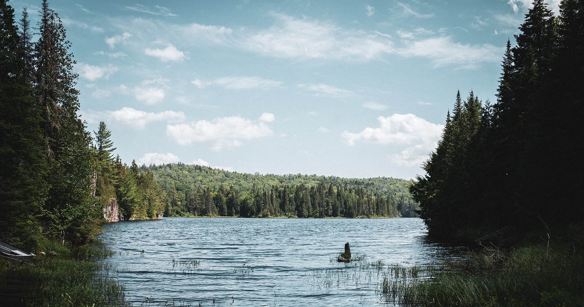 P.N. LA MAURICIE - LAGO SAINT-JEAN