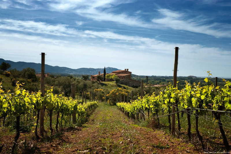 Escapada Ruta del Vino Emporda - Costa Brava