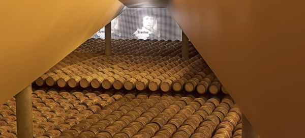 Bodegas Faustino