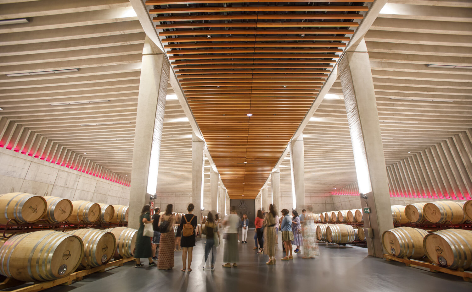 Cata y Visita Bodegas Portia