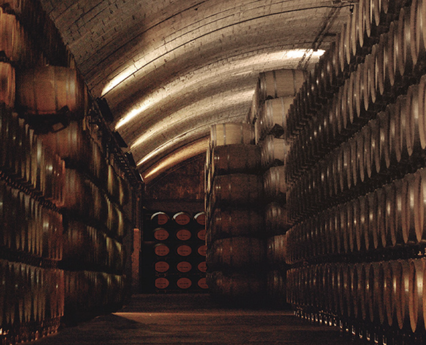 Cueva del Arte - Bodega Los Llanos