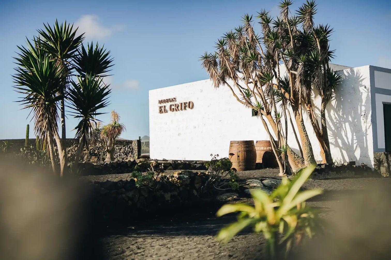 Visita Bodegas El Grifo