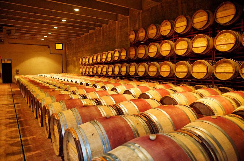 Visita y Cata Celler Mas Llunes