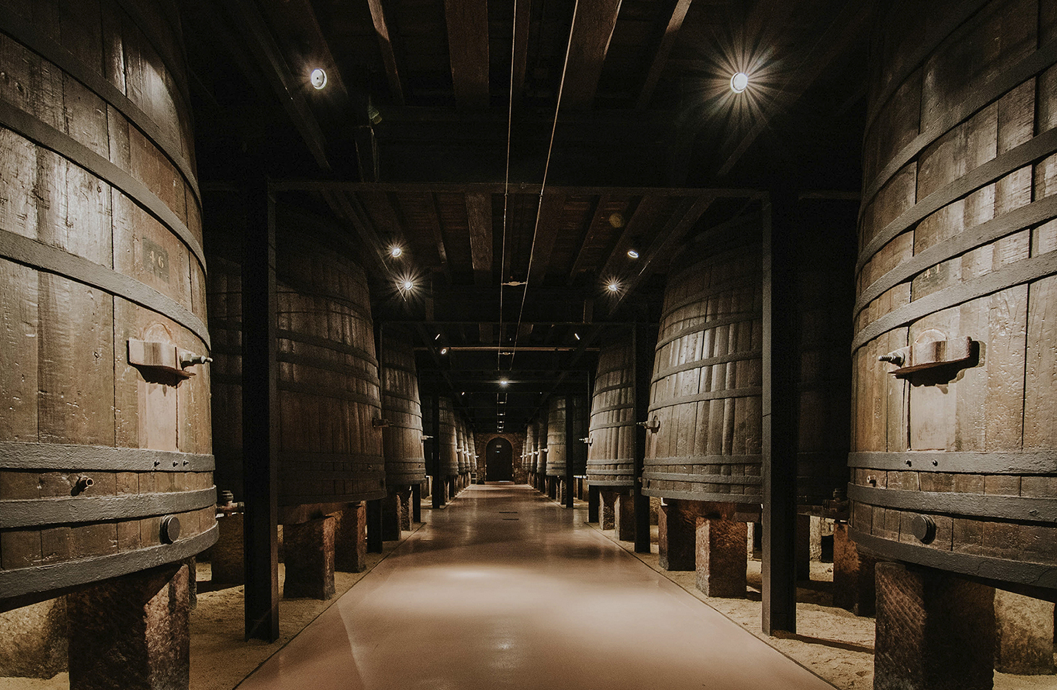 Visita y Cata de Vinos Bodegas Franco Españolas