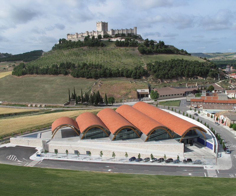 Castillo Peñafiel y Bodegas Protos