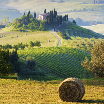 Tour Guiado Val D’Orcia