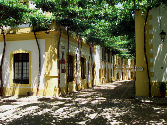 Visita, Cata de Vinos y Tapas Bodegas Tio Pepe