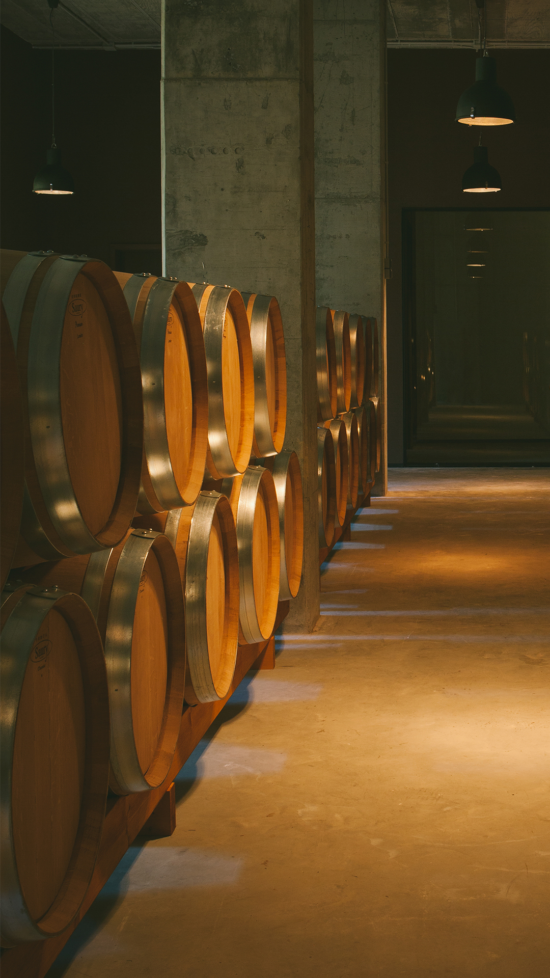 Cata de Vinos y Menú Degustación