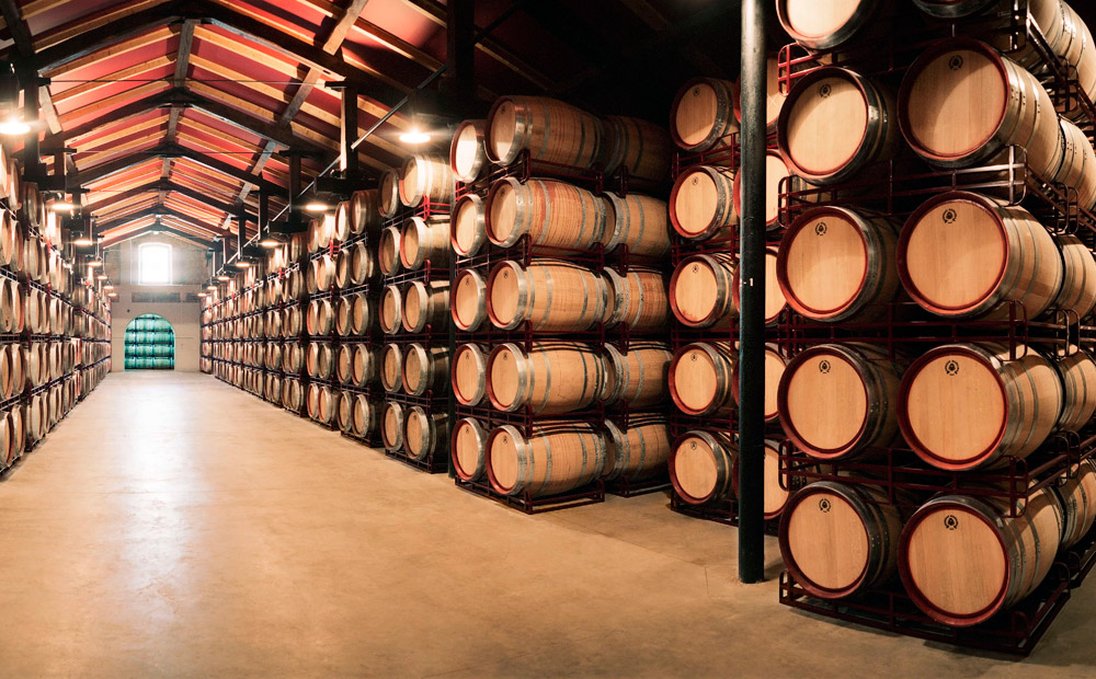 Visita y Cata Bodegas Bilbainas