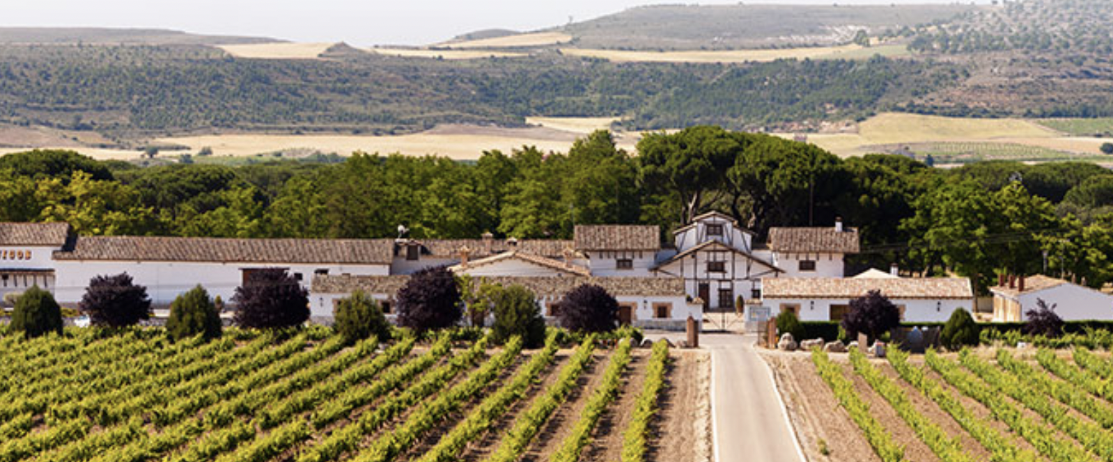 Visita Bodega Dehesa de Los Canónigos