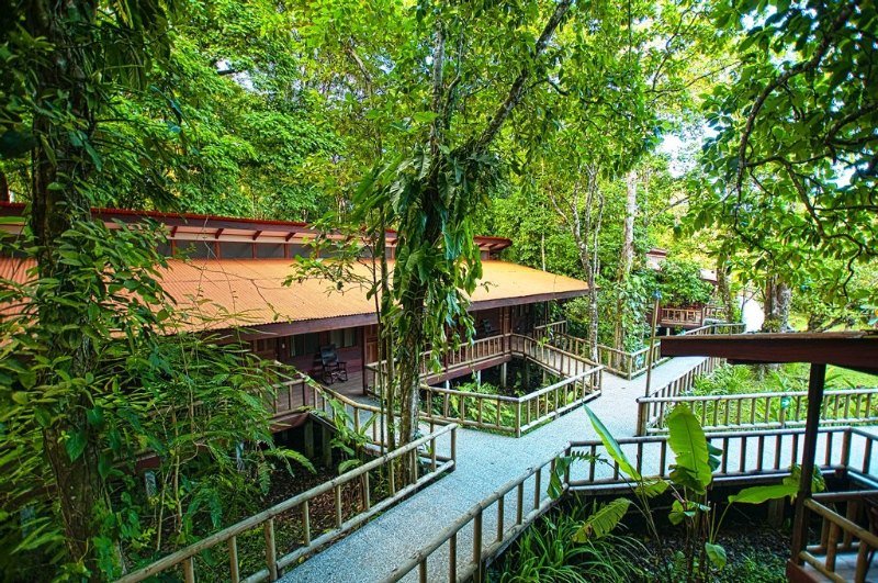 Evergreen Lodge
