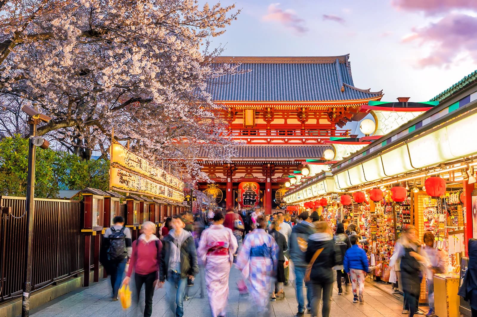 Magical tokyo