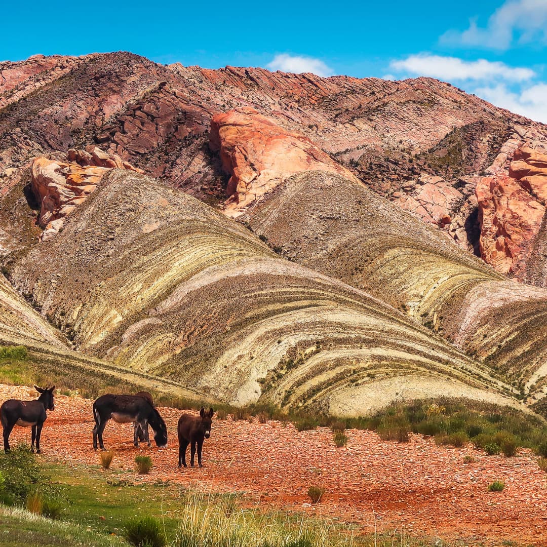 Great Andean Circuit