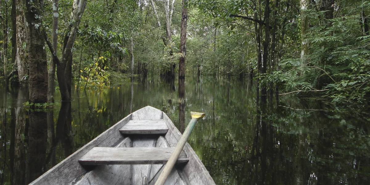 AMAZONAS (Tours Amazon Ecopark)