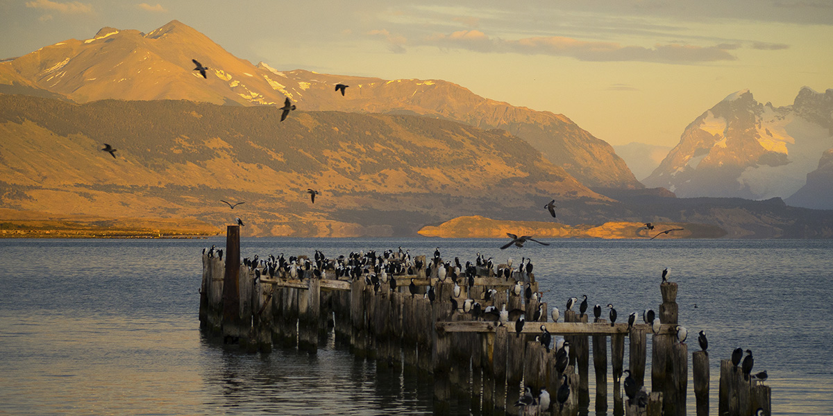 PUERTO NATALES (Día libre)