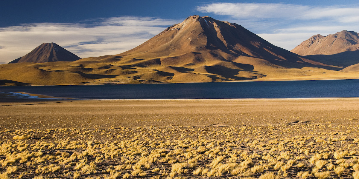 Esencias de Chile