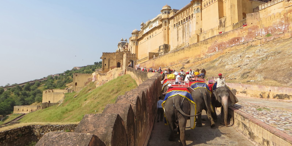 JAIPUR (Fuerte Amber + Panorámica)