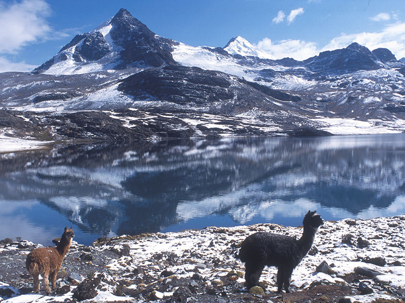 SANTA CRUZ / LA PAZ / MEXICO