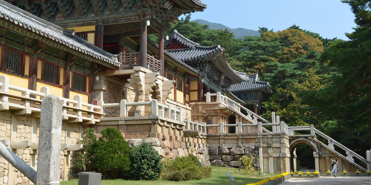 DAEGU (Museo y Mercado) / GYEONGJU (Visita Ciudad)