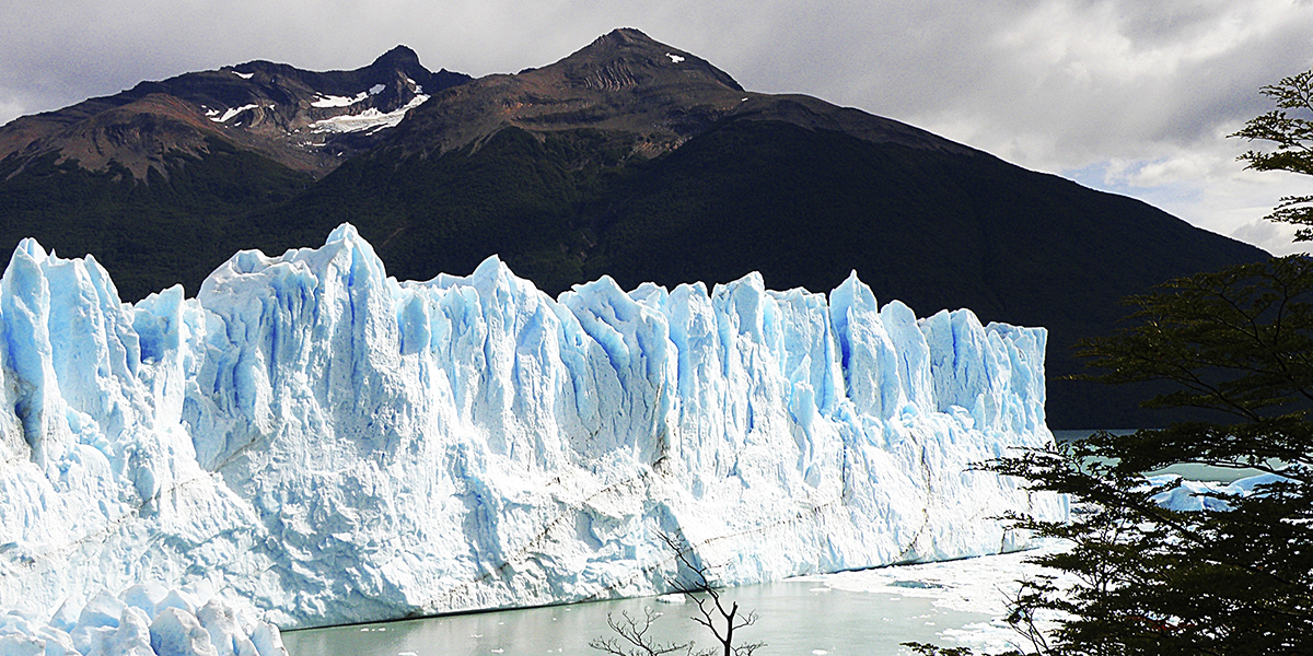 EL CALAFATE (Glaciar Perito Moreno)