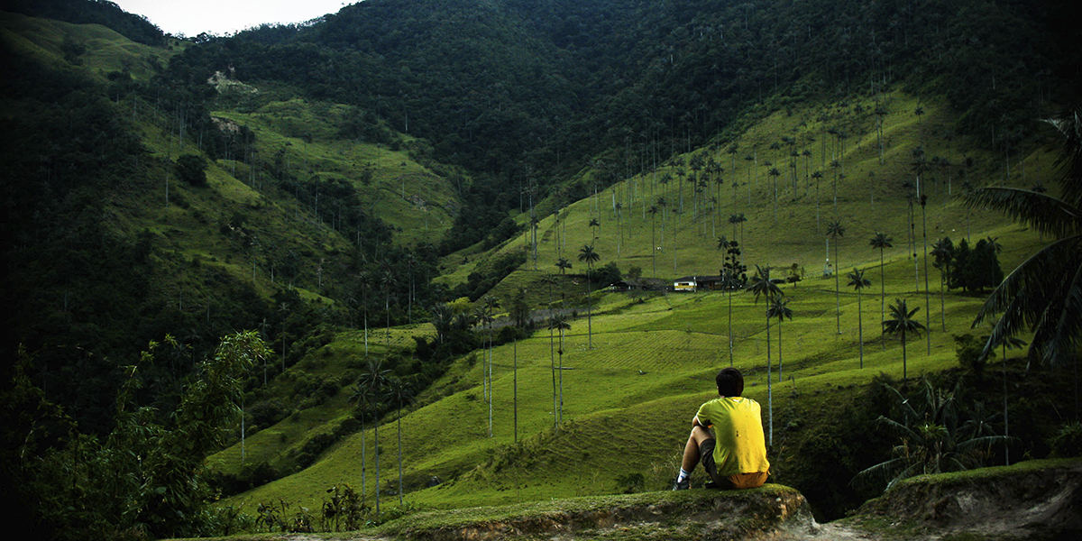 BOGOTA / ARMENIA o PEREIRA
